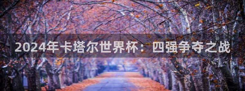 世界杯直播网:2024年卡塔尔世界杯:四强争夺之战