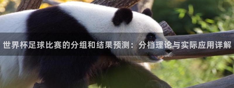 世界杯直播时间:世界杯足球比赛的分组和结果预测:分档理论与实际应用详解