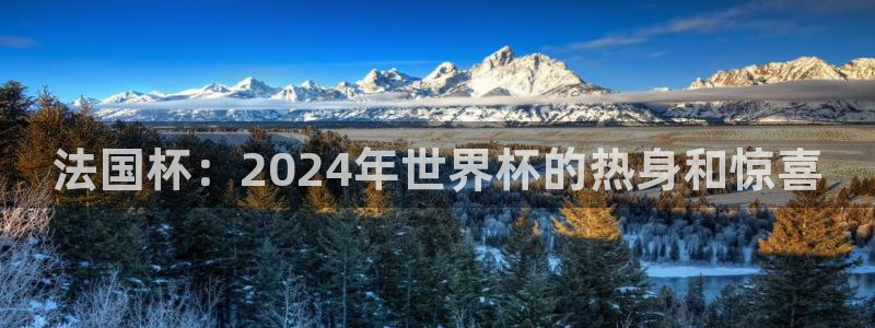 世界杯直播网:法国杯:2024年世界杯的热身和惊喜