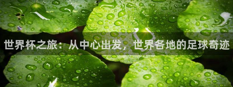 2026世界杯直播:世界杯之旅:从中心出发,世界各地的足球奇迹