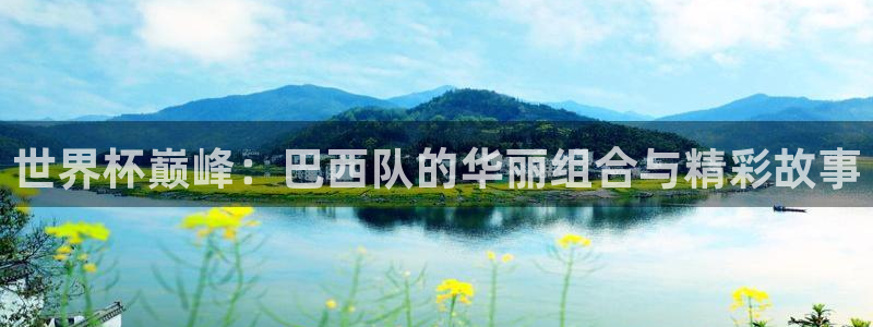 世界杯预选赛直播:世界杯巅峰:巴西队的华丽组合与精彩故事