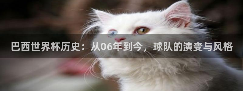 葡萄牙世界杯赛程:巴西世界杯历史:从06年到今,球队的演变与风格