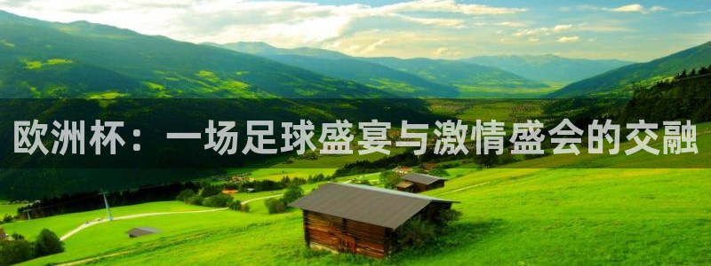 世界杯48支球队赛制:欧洲杯:一场足球盛宴与激情盛会的交融